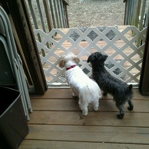 Meet your Posher, Nancy